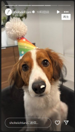 大谷翔平、愛犬・デコピンの2歳の誕生日をケーキでお祝い　※「大谷翔平」インスタグラム