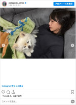 愛犬とまったり　※「与田祐希」インスタグラム