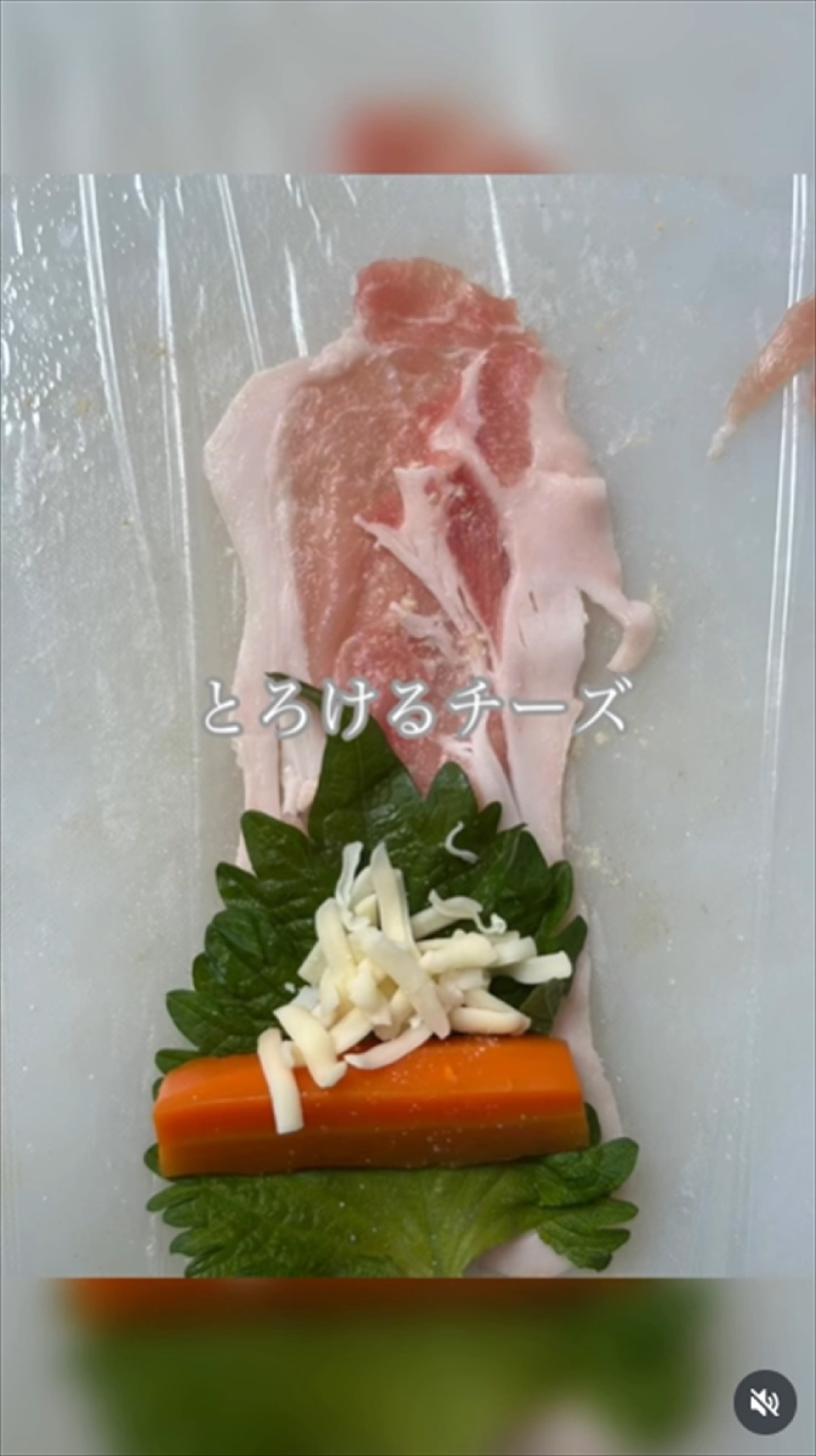 柏木由紀子77歳、“手作り料理”が「健康的」「素敵」