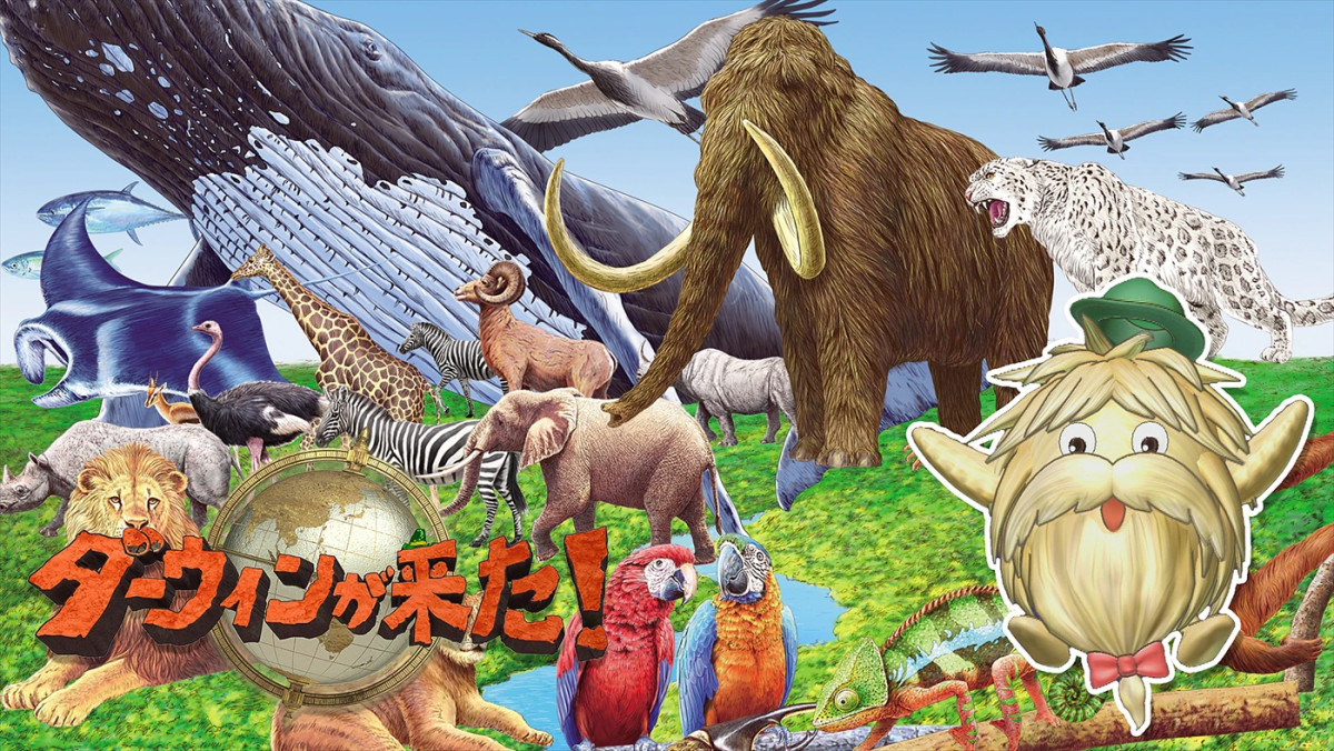 相葉雅紀、NHK自然番組のナビゲーターに！　『ダーウィンが来た！』で日本の絶滅危惧種コーナーのナレーション担当