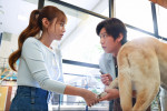 火曜ドラマ『初恋DOGs』第3話より