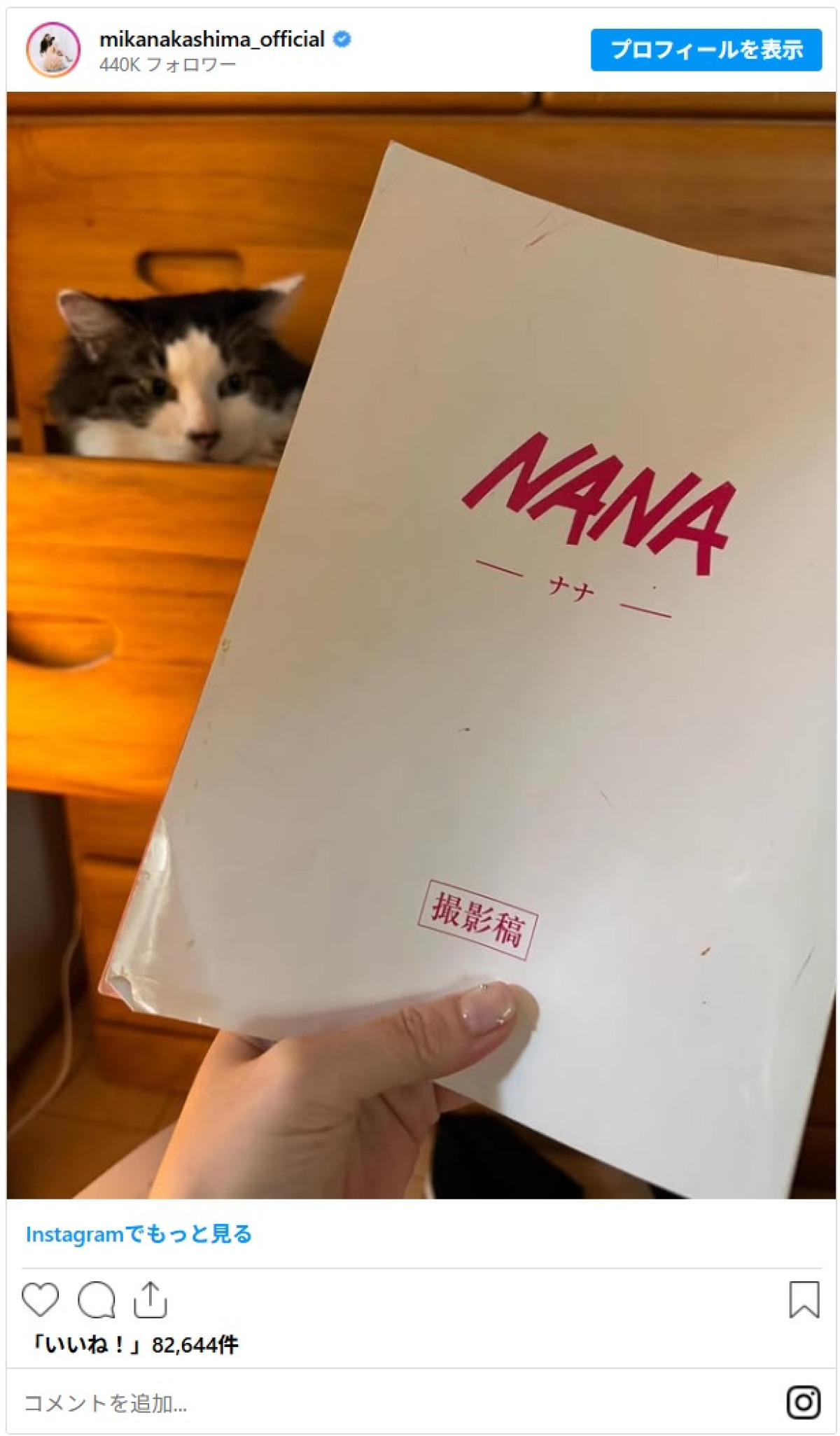 「変わらなすぎる」近影も話題！　実写映画『NANA』公開から20年、実写版キャストの現在