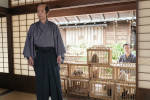 連続テレビ小説『ばけばけ』第3回より