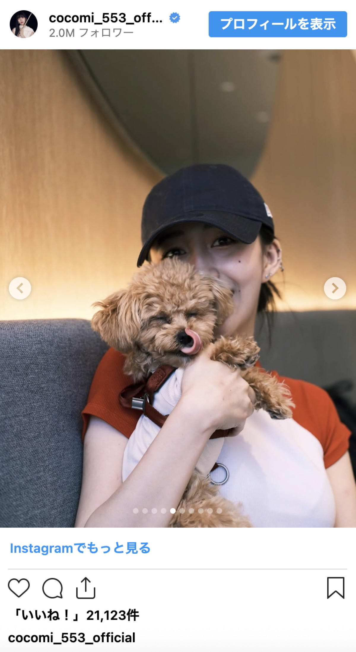 Cocomi、愛犬家の呼びかけ「足が熱くなるので気をつけましょう！」バッグに入れて大切に移動