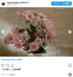 内山理名、44歳を迎えた近況投稿　※「内山理名」インスタグラム