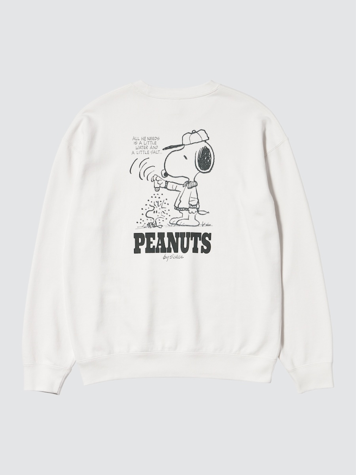 2026.11.15ピーナッツ×UT