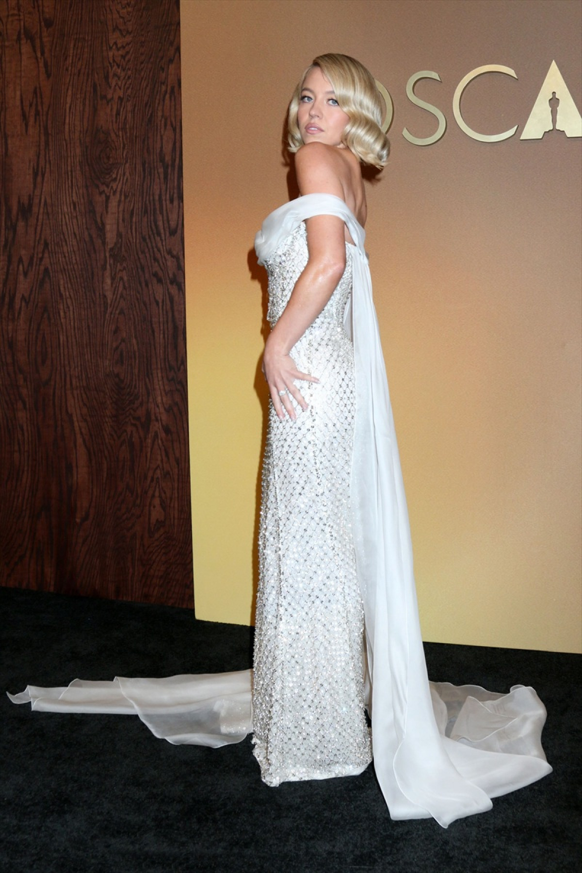 【フォト特集】豪華ドレス姿のセレブが大集結！　ガバナーズ・アワード授賞式開催