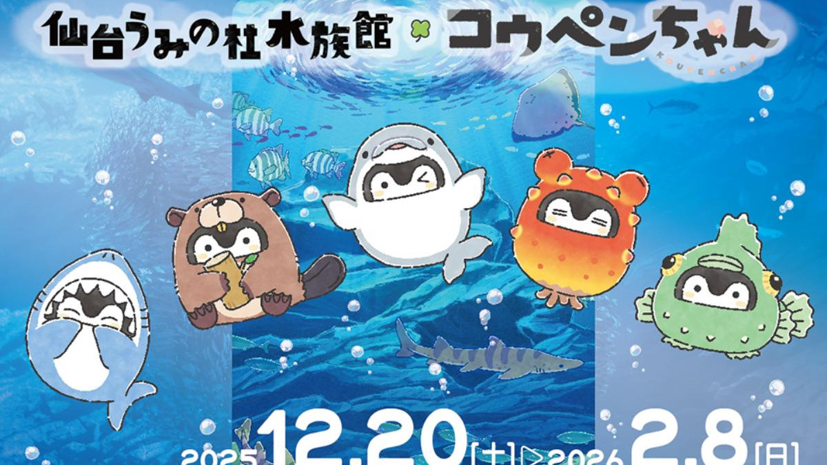 【新品未開封】うみの杜水族館 コウペンちゃん 4点セット コラボ限定 描き下ろし 252121065143291_1200.jpg