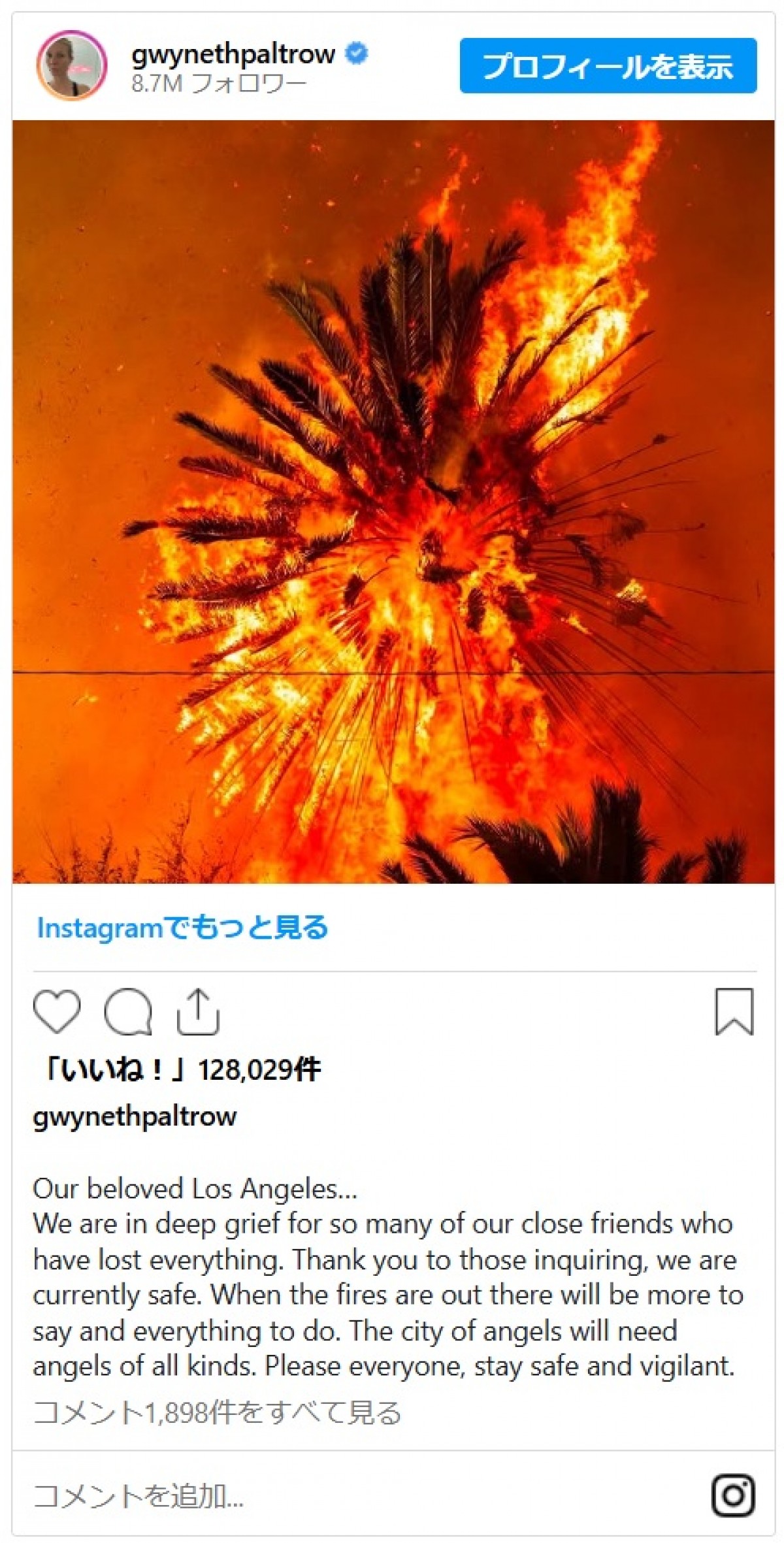グウィネス・パルトロー、家を失った親しい友人たちに向け深い悲しみを表明