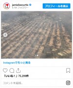 「ジェイミー・リー・カーティス」インスタグラム