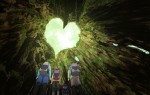 アニメ『名探偵コナン』「屋久島の山姫」場面写真