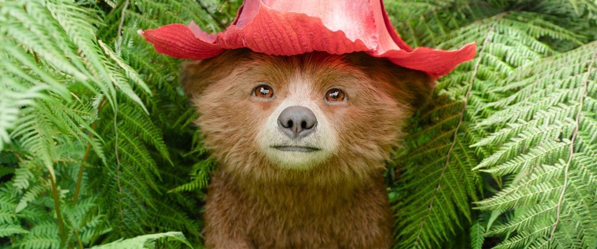 『パディントン』シリーズ最新作、子グマショットにモフモフな野生の姿も公開