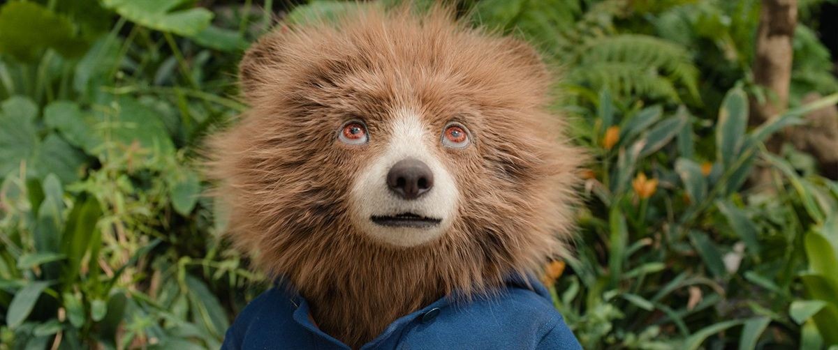 『パディントン』シリーズ最新作、子グマショットにモフモフな野生の姿も公開