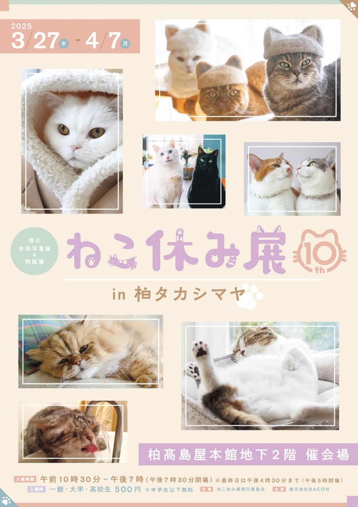 20250228「ねこ休み展 in 柏タカシマヤ」