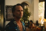 ドラマ『ホワイト・ロータス ／ 諸事情だらけのリゾートホテル シーズン3』場面写真