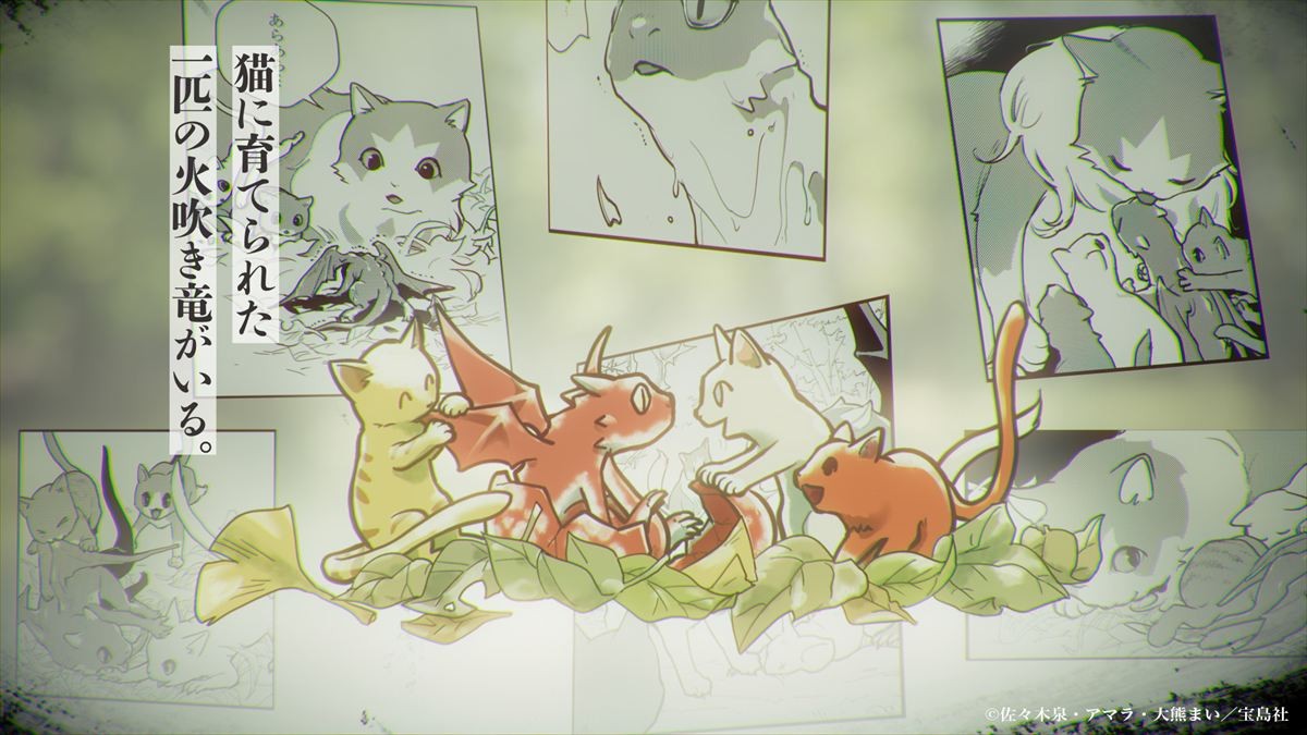 「小説家になろう」異例のヒット作『猫と竜』アニメ化決定！　特別イラスト＆特報PV解禁
