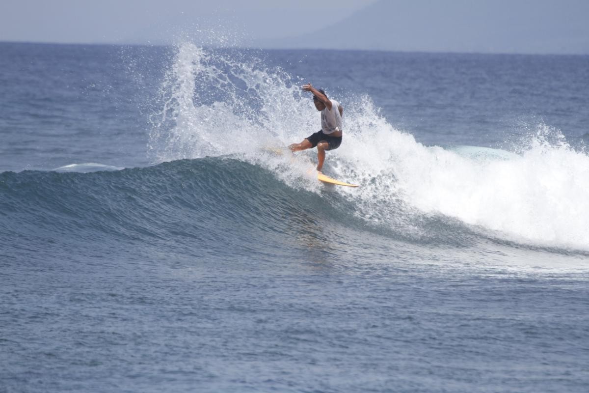 20250205「TORAMI surf＆dogs OHANA」