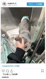 えなこと愛猫パンくんの2ショット　※「えなこ」インスタグラム