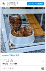 照英が紹介した新しい家族　※「照英」インスタグラム
