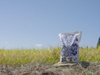 米どころ・ふくしまが誇るブランド米「福笑い」の魅力を紹介！　縁起がいい名前＆パッケージはギフトにもぴったり <span class=insert_pr>P R</span>