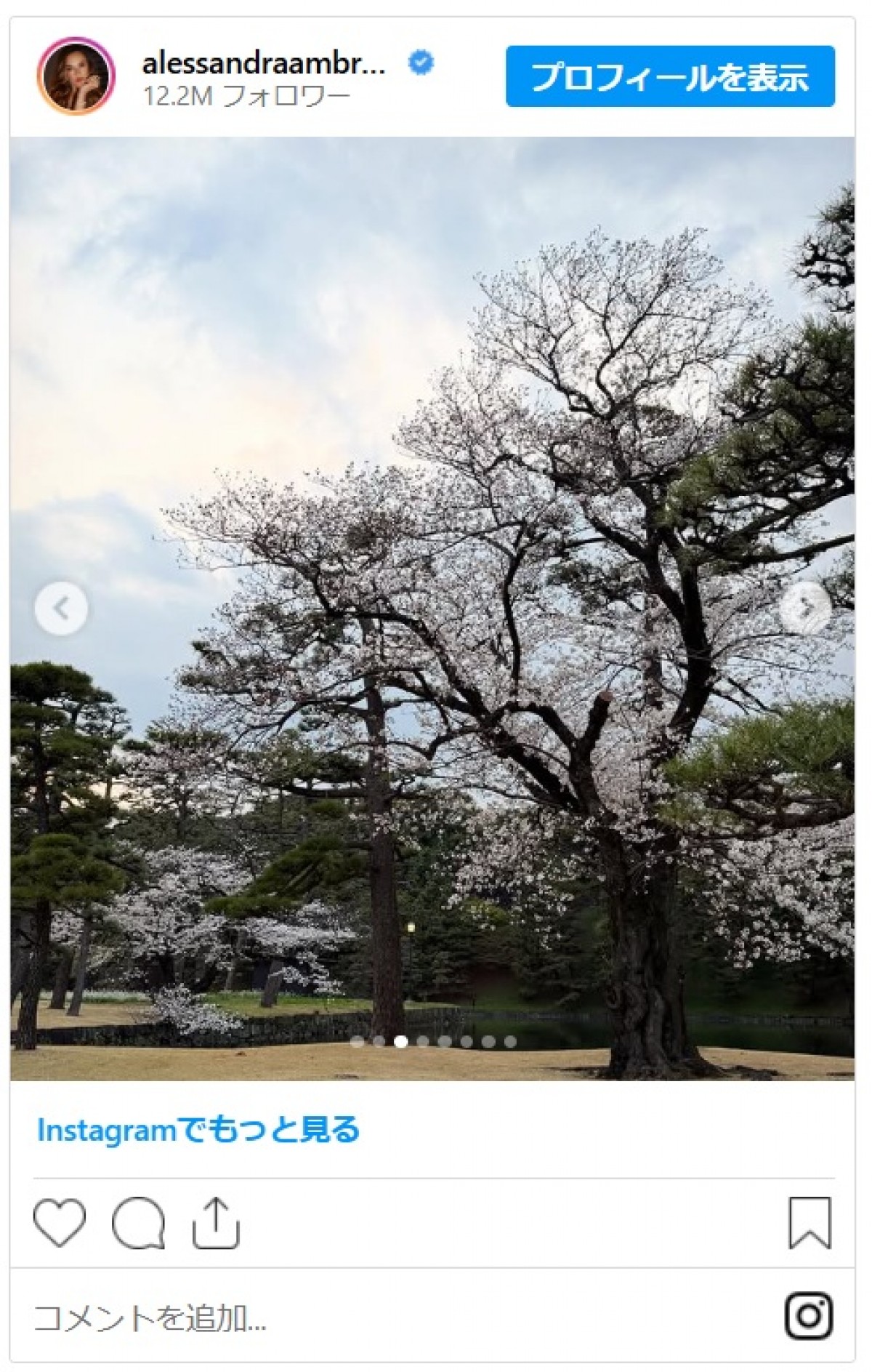 元ヴィクシーモデルが来日！桜が咲く皇居を探索し「こんにちは」と日本語で投稿