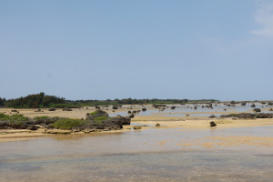 20250418 宮古島