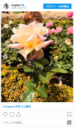 メーガン妃、アーチー王子＆リリベット王女の過去最高露出のプライベート写真公開※「Meghan，Duchess of Sussex」インスタグラム