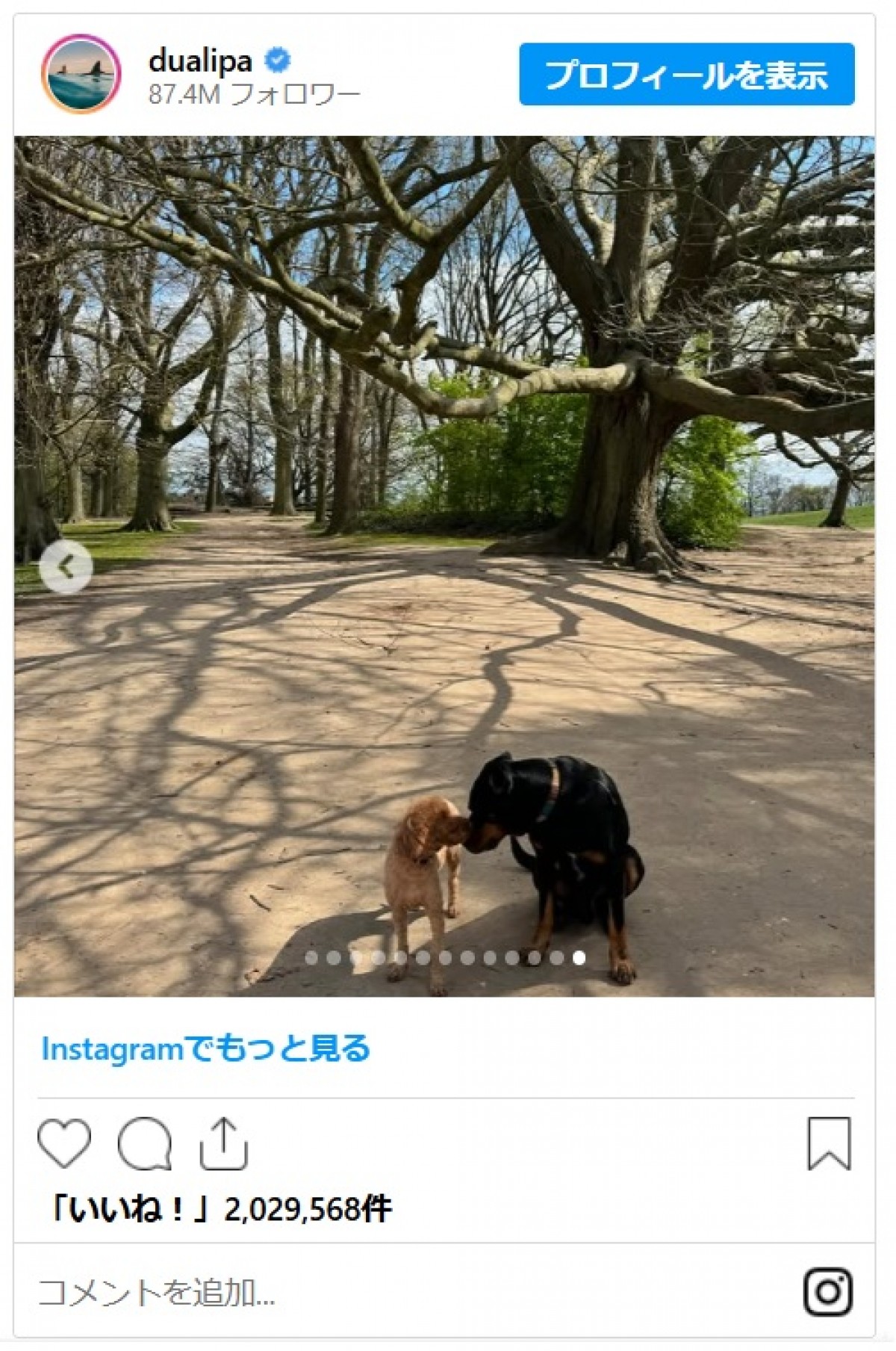デュア・リパ＆カラム・ターナー、ラブラブショット大量公開