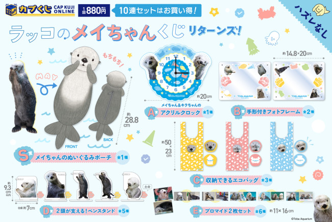 鳥羽水族館のくし 写真）鳥羽水族館のアイドル「ラッコのメイちゃん」がハズレなしくじに