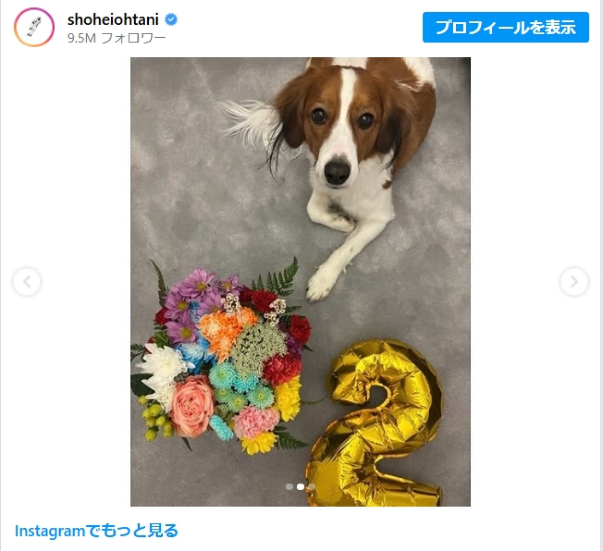 大谷翔平＿デコピン誕生日＿20250514