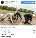 田植えに取り組む姿を披露した市原隼人　※「市原隼人」インスタグラム