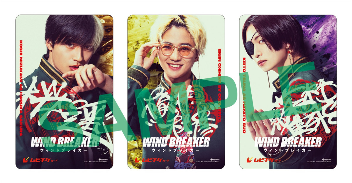 映画『WIND BREAKER』水上恒司が“守る拳”振るう予告解禁　八木莉可子、山下幸輝、濱尾ノリタカも出演決定