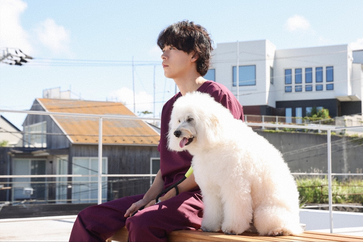 『初恋DOGs』第6話　“愛子”清原果耶、好意を打ち明けるも“快”成田凌は謎の行動