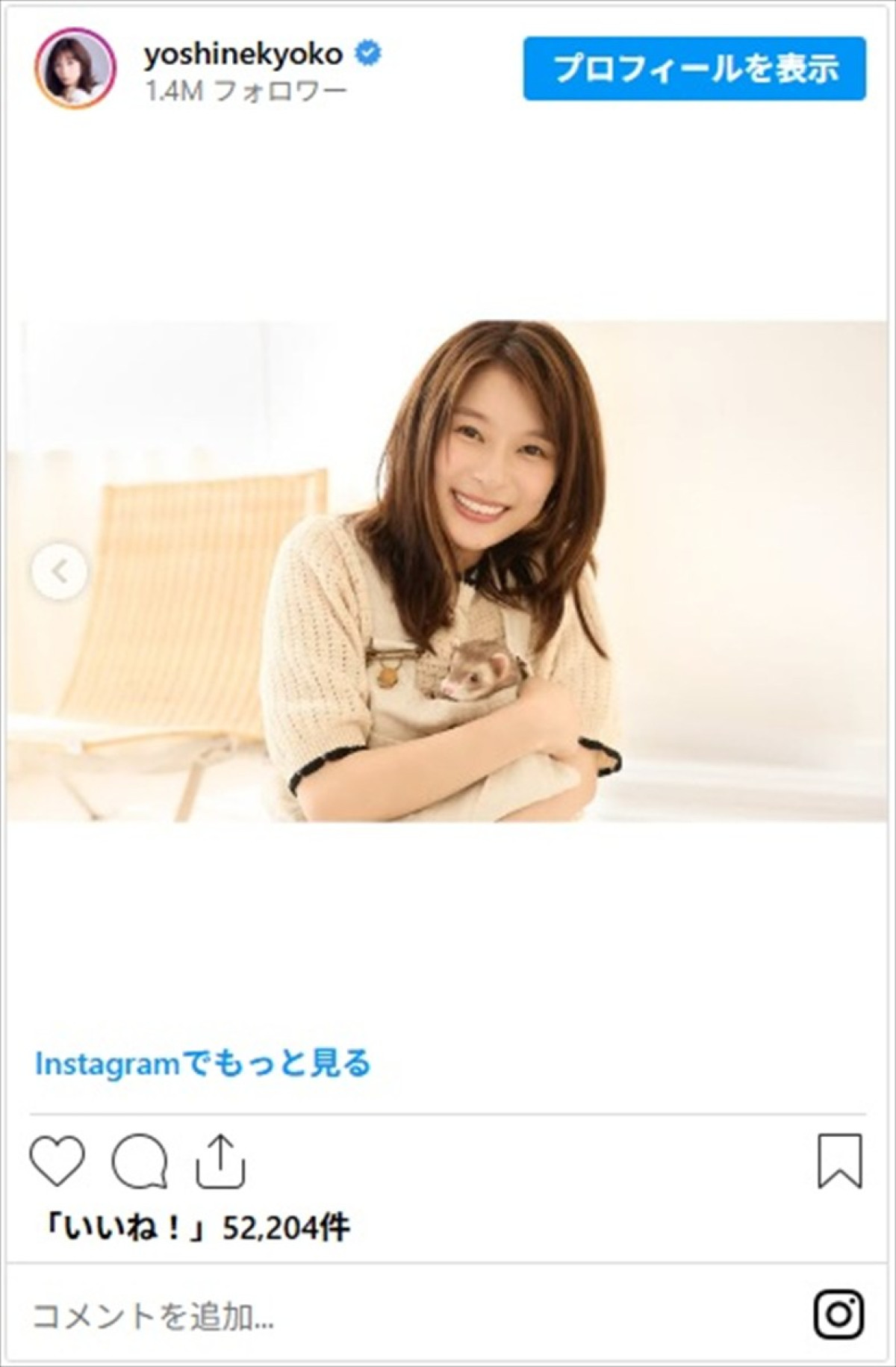 芳根京子、“初めて”の報告にファン歓喜「色っぽくて素敵」　かわいすぎるペット「たぬこ」ちゃんも登場