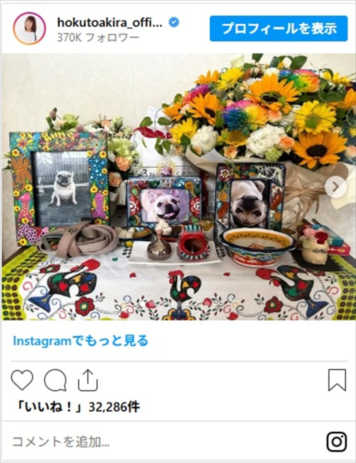北斗晶、1年前に亡くなった愛犬を偲ぶ「お母さんは、花ちゃんが大好きだよ」　ファンも涙