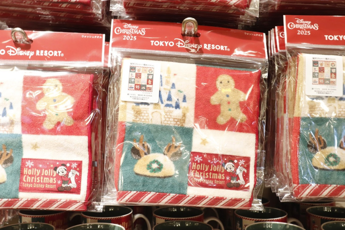 20251114 ディズニー・クリスマス