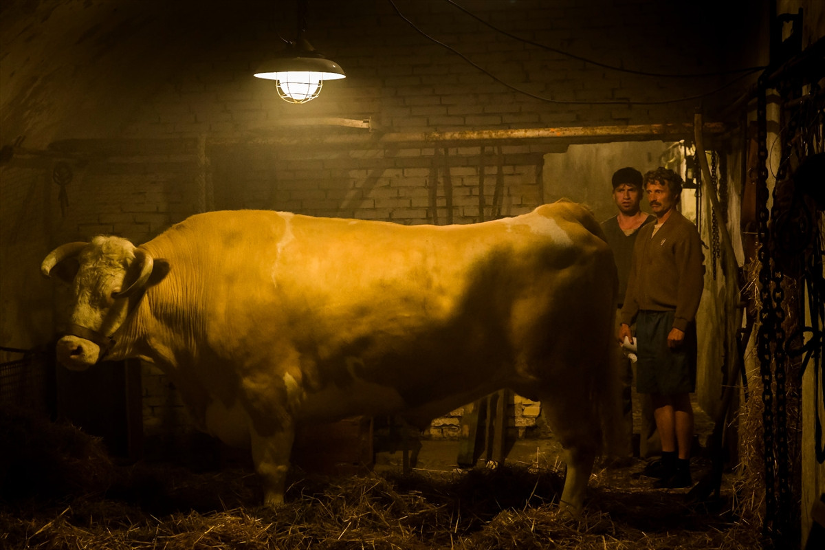 マッツ・ミケルセンの怪演光る！『メン＆チキン』日本初公開決定　予告＆場面写真公開