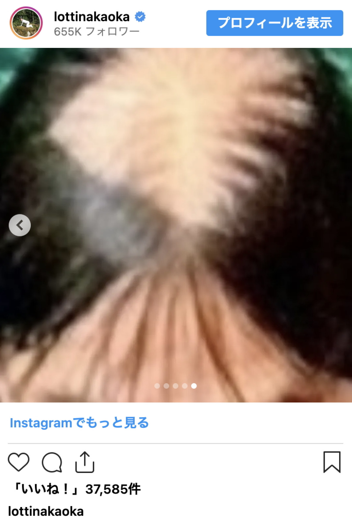 ロッチ中岡、『イッテQ！』衝撃ショットに反響「秒で突っ込みました」「爆笑」