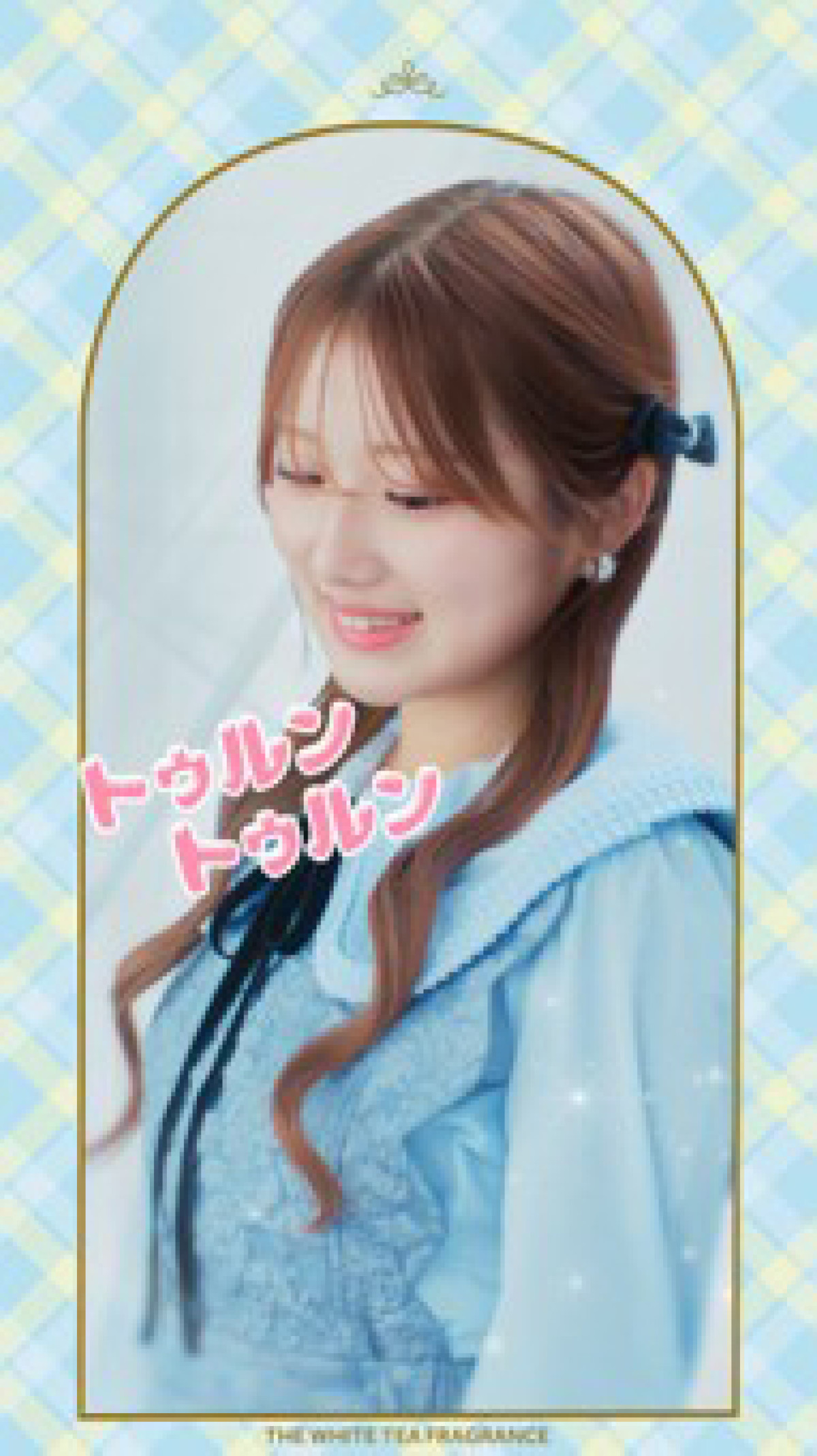 251106_シルバニアファミリ