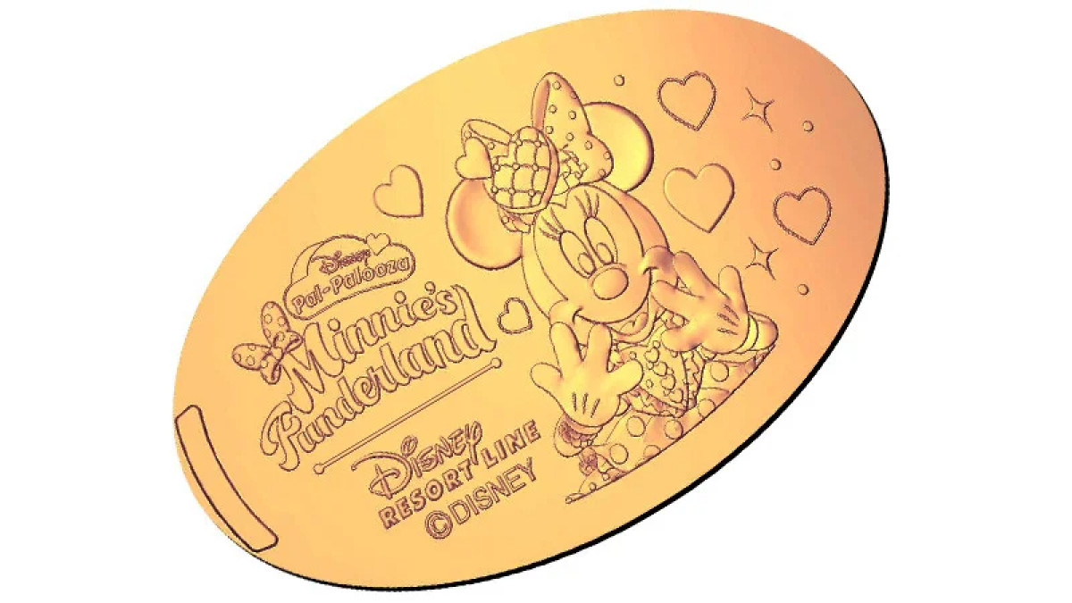 20251215 ディズニーリゾートライ