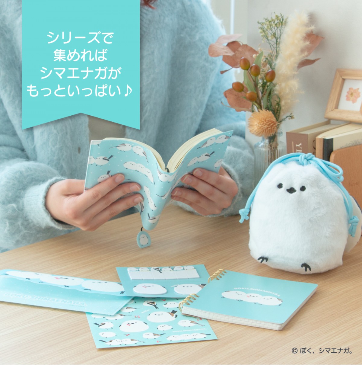 20250115 ぼく、シマエナガ。