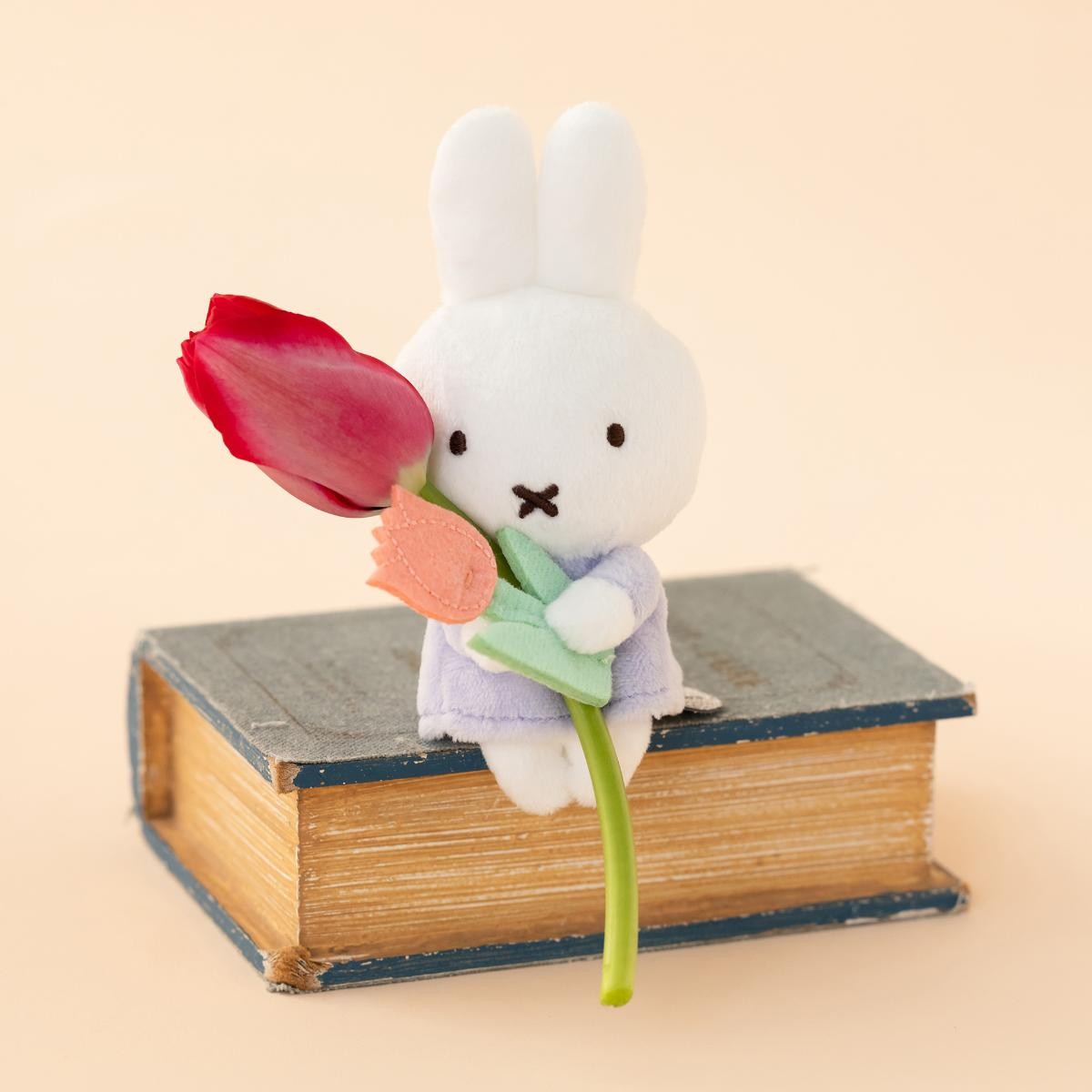 20250115「Flower Miffy POP UP SHOP」