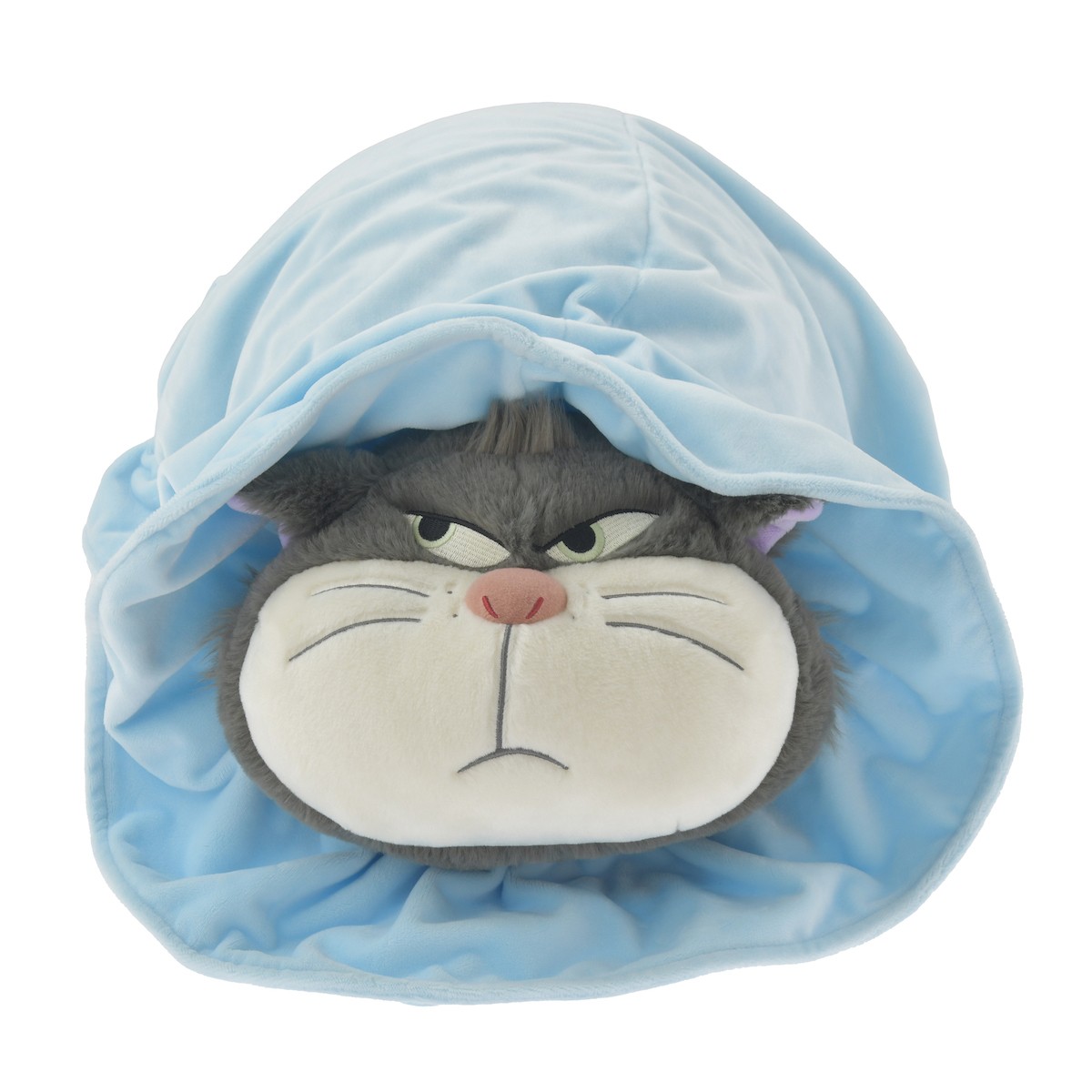 250203_DISNEY CAT DAY 2025