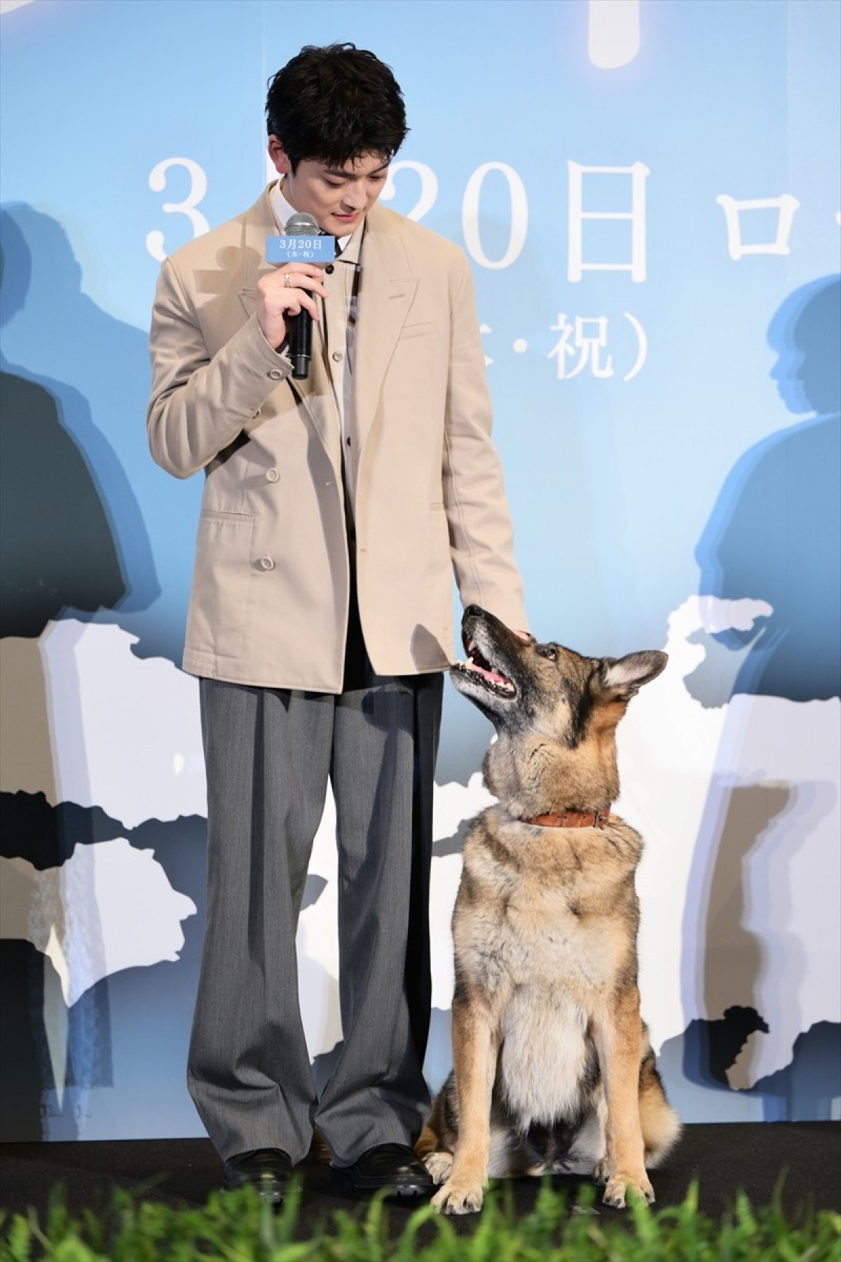 高橋文哉、犬を迎えるため幼少期に固めた決心に共演者も驚き