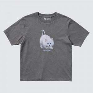 ねこを愛する写真家×ユニクロ「UT」がコラボ！ “にゃんともかわいい”ねこTシャツ登場