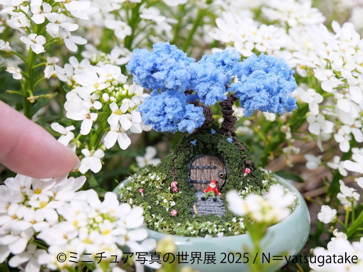 202050312「ミニチュア写真の世界展 2025」