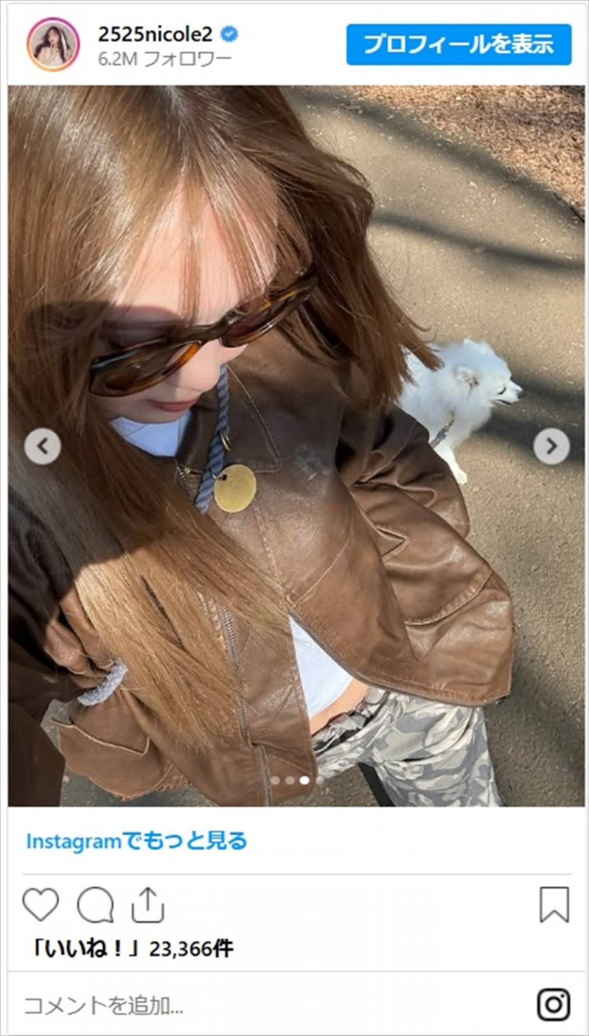 藤田ニコル、かわいいコーデで愛犬とおでかけ「そのコーデタイプ」「大谷翔平宅のデコピンみたい」