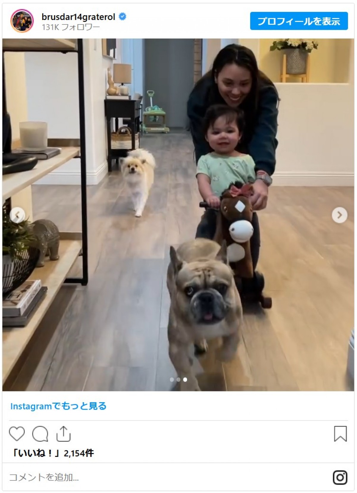 デコピンだけじゃない！　佐々木投手、山本投手も…ドジャース選手たちのキュートな愛犬まとめ