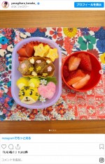 柳原可奈子、手作り弁当　※「柳原可奈子」インスタグラム