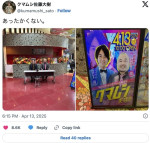 クマムシ近影　※「クマムシ佐藤大樹」エックス